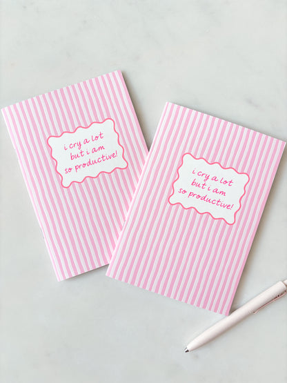 Two pink striped notebooks with a white label on a light gray background
